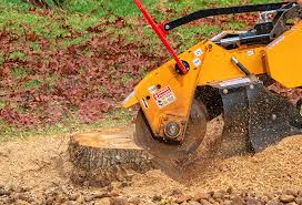 Best Weed Control  in Norwich, NY
